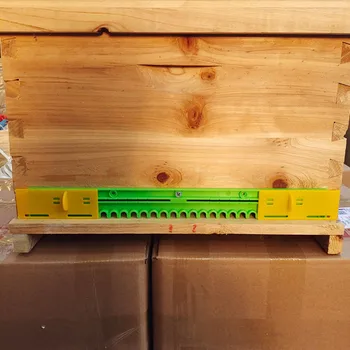 1шт Оборудование для Улья входная Дверь Гнезда Предотвращает побег пчел Инструменты для Пчеловодства Принадлежности Пластиковая дверь улья для пчеловодства